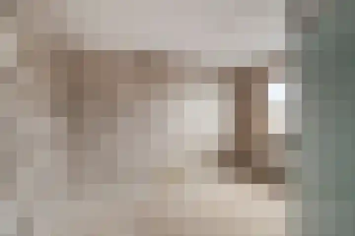 Johannes Vermeerstraat 22 Krimpen aan de Lek thumbnail 19