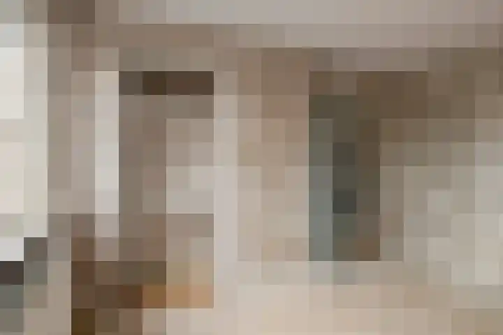 Johannes Vermeerstraat 22 Krimpen aan de Lek thumbnail 20