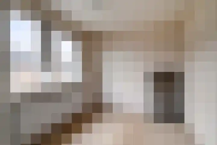 Johannes Vermeerstraat 22 Krimpen aan de Lek thumbnail 23