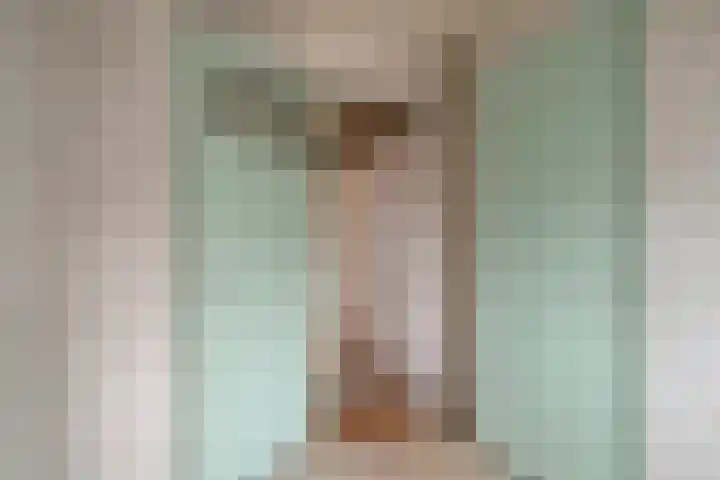 Johannes Vermeerstraat 22 Krimpen aan de Lek thumbnail 26