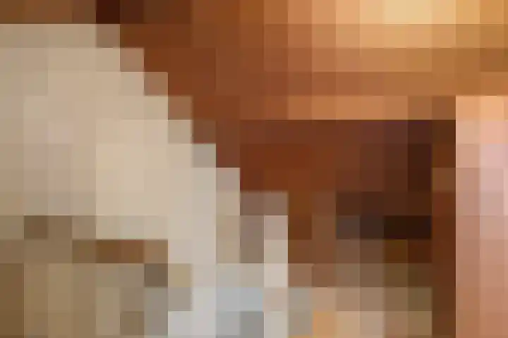 Johannes Vermeerstraat 22 Krimpen aan de Lek thumbnail 27