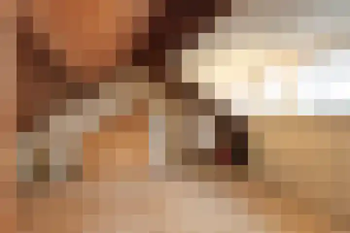 Johannes Vermeerstraat 22 Krimpen aan de Lek thumbnail 28