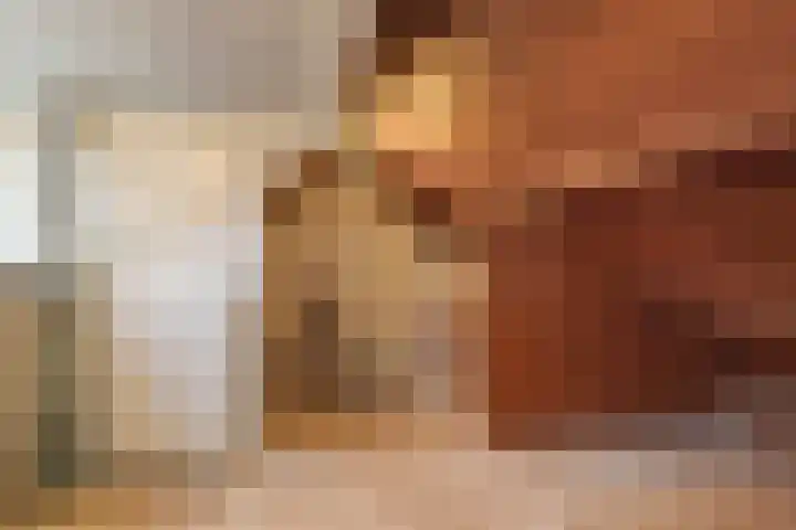 Johannes Vermeerstraat 22 Krimpen aan de Lek thumbnail 29