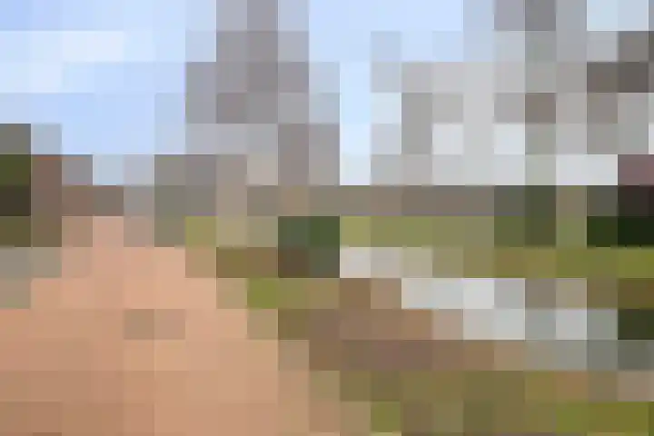 Johannes Vermeerstraat 22 Krimpen aan de Lek thumbnail 35