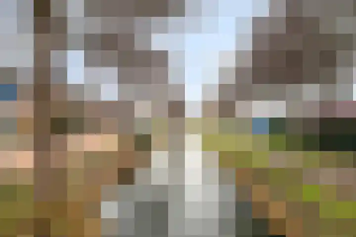 Johannes Vermeerstraat 22 Krimpen aan de Lek thumbnail 37