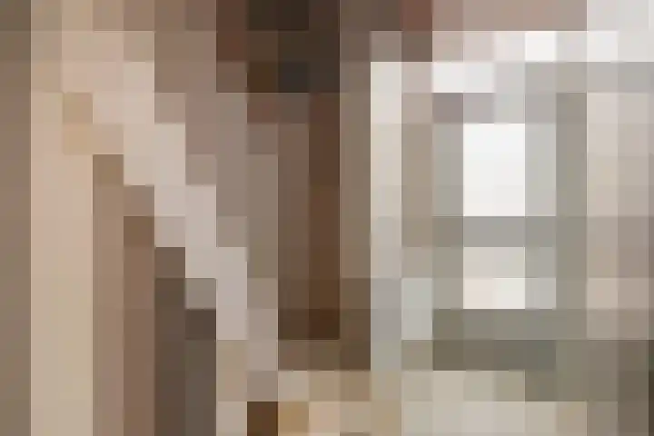 Johannes Vermeerstraat 22 Krimpen aan de Lek thumbnail 4