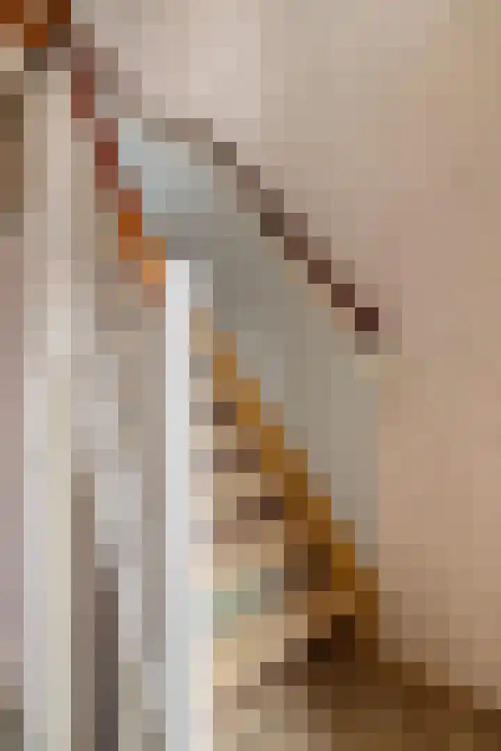 Johannes Vermeerstraat 22 Krimpen aan de Lek thumbnail 5