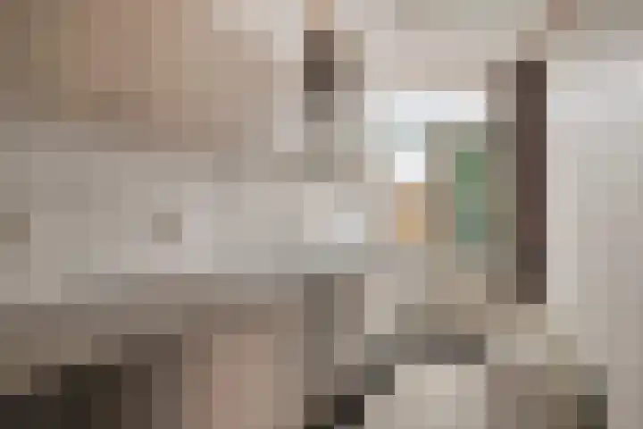 Johannes Vermeerstraat 22 Krimpen aan de Lek thumbnail 9