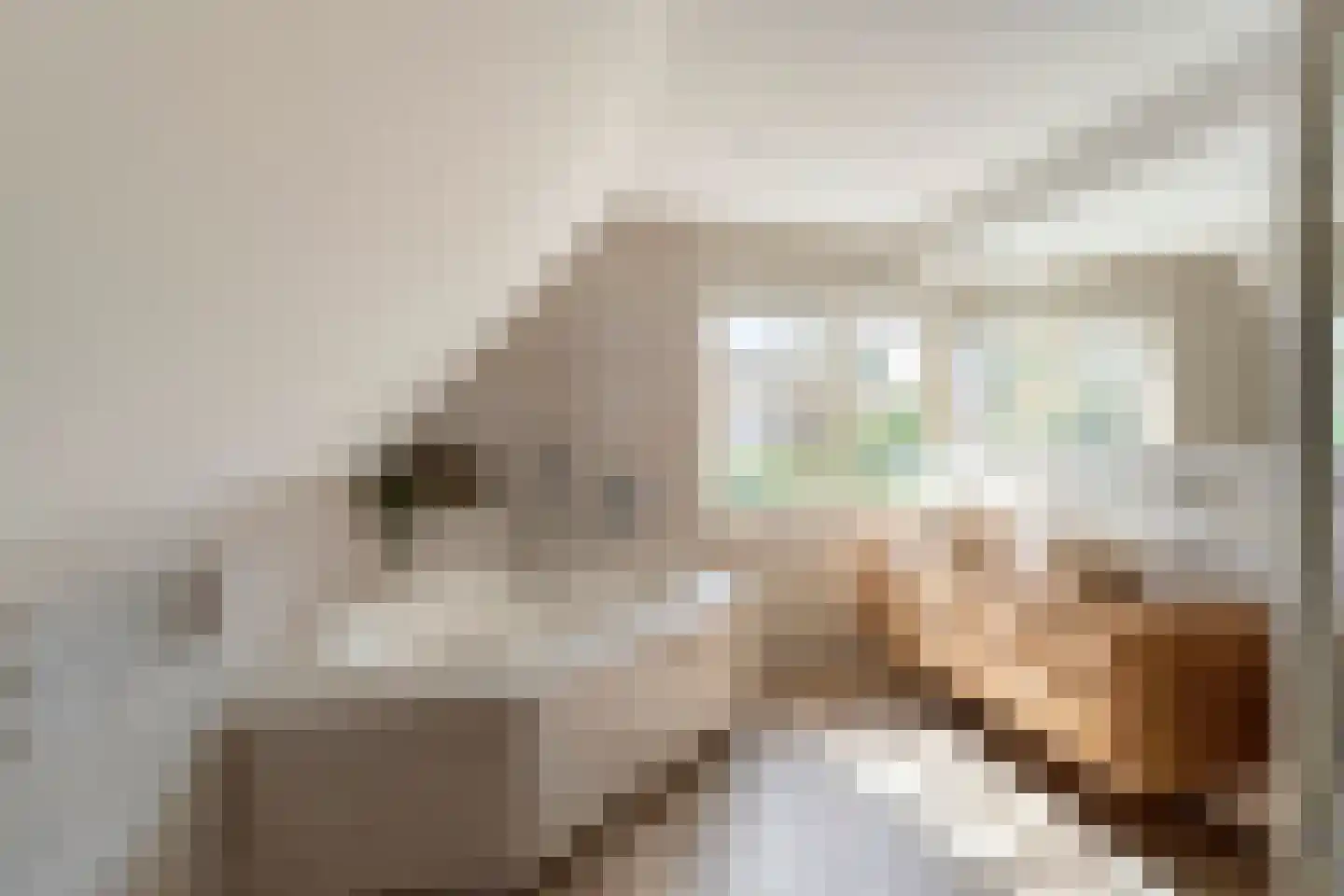 Johannes Vermeerstraat 238 Almere thumbnail 26