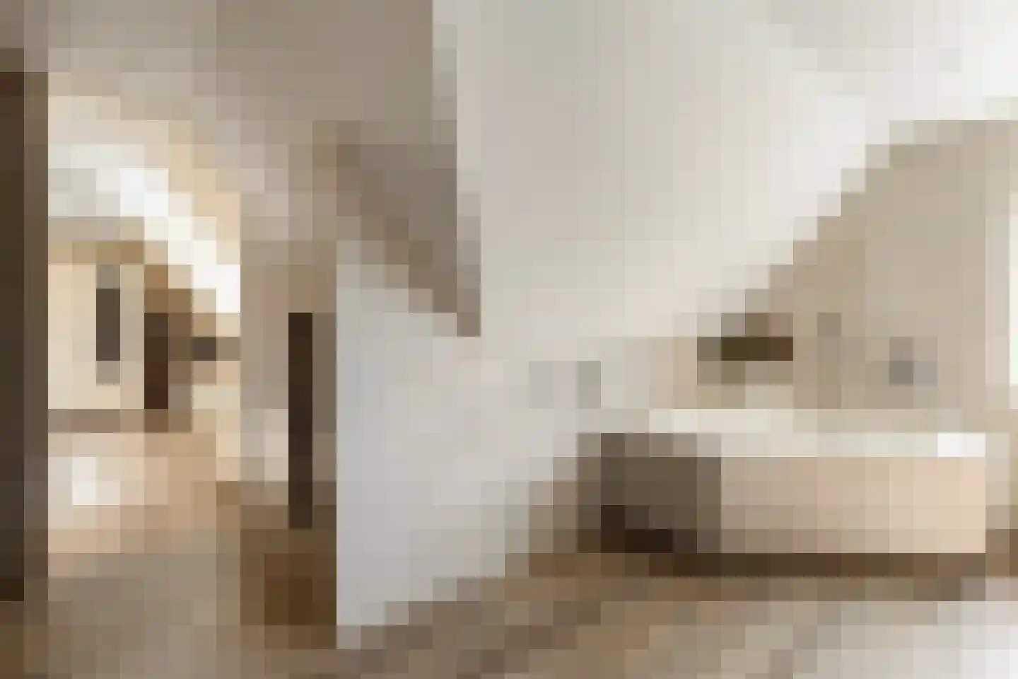 Johannes Vermeerstraat 238 Almere thumbnail 27