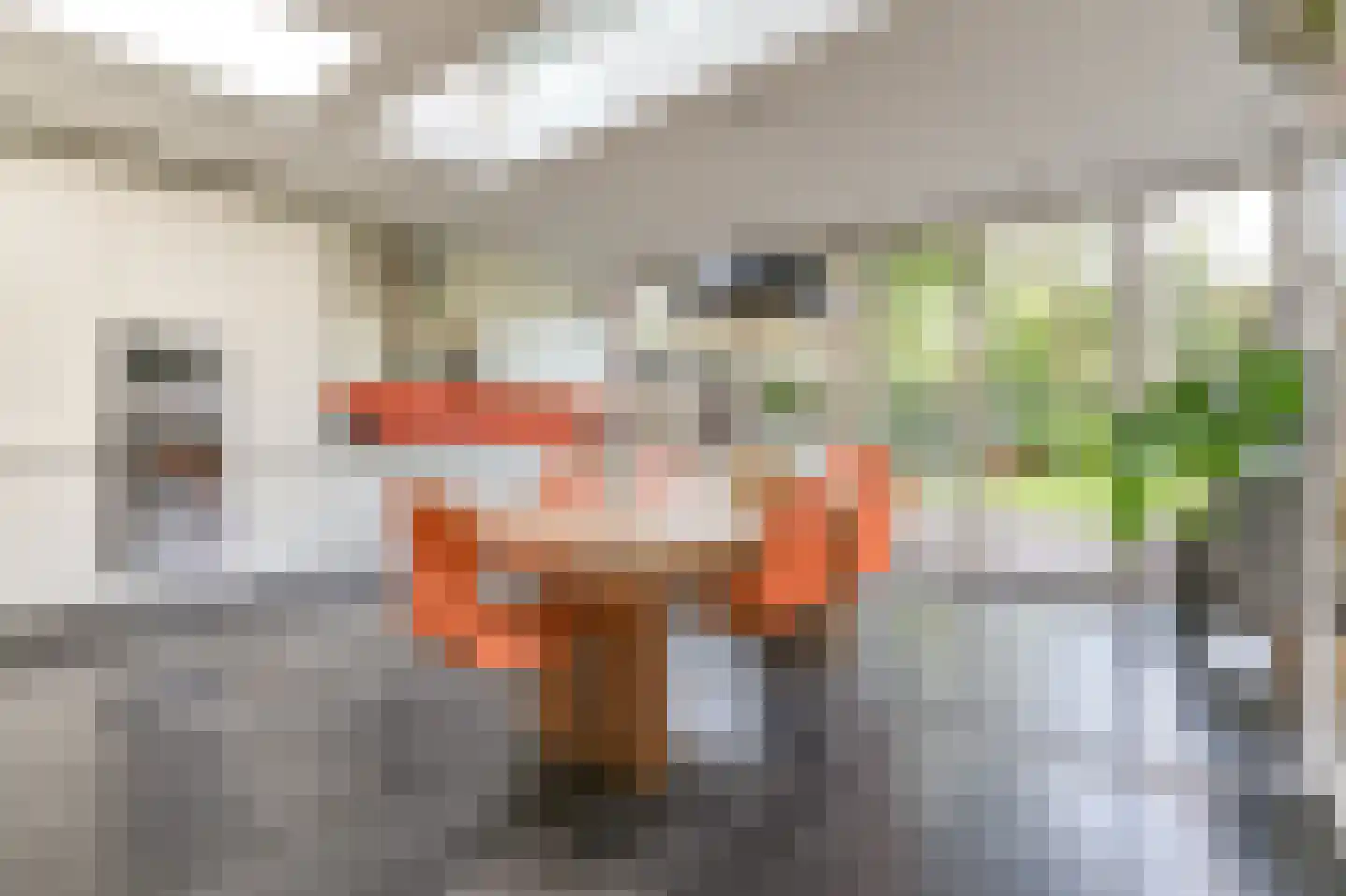 Johannes Vermeerstraat 25 Heemstede thumbnail 10