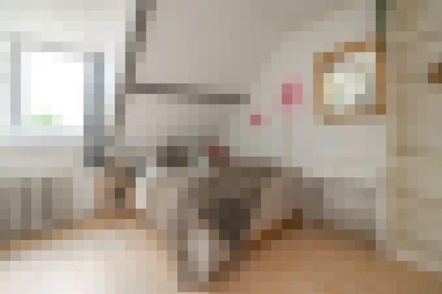 Johannes Vermeerstraat 25 Heemstede thumbnail 30
