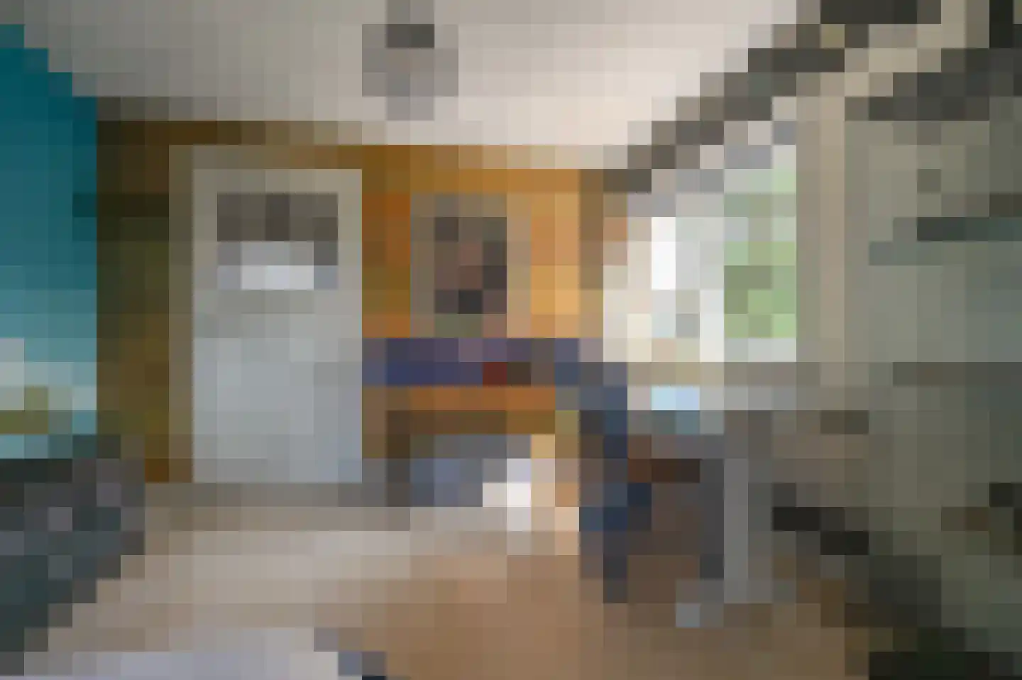 Johannes Vermeerstraat 25 Heemstede thumbnail 34