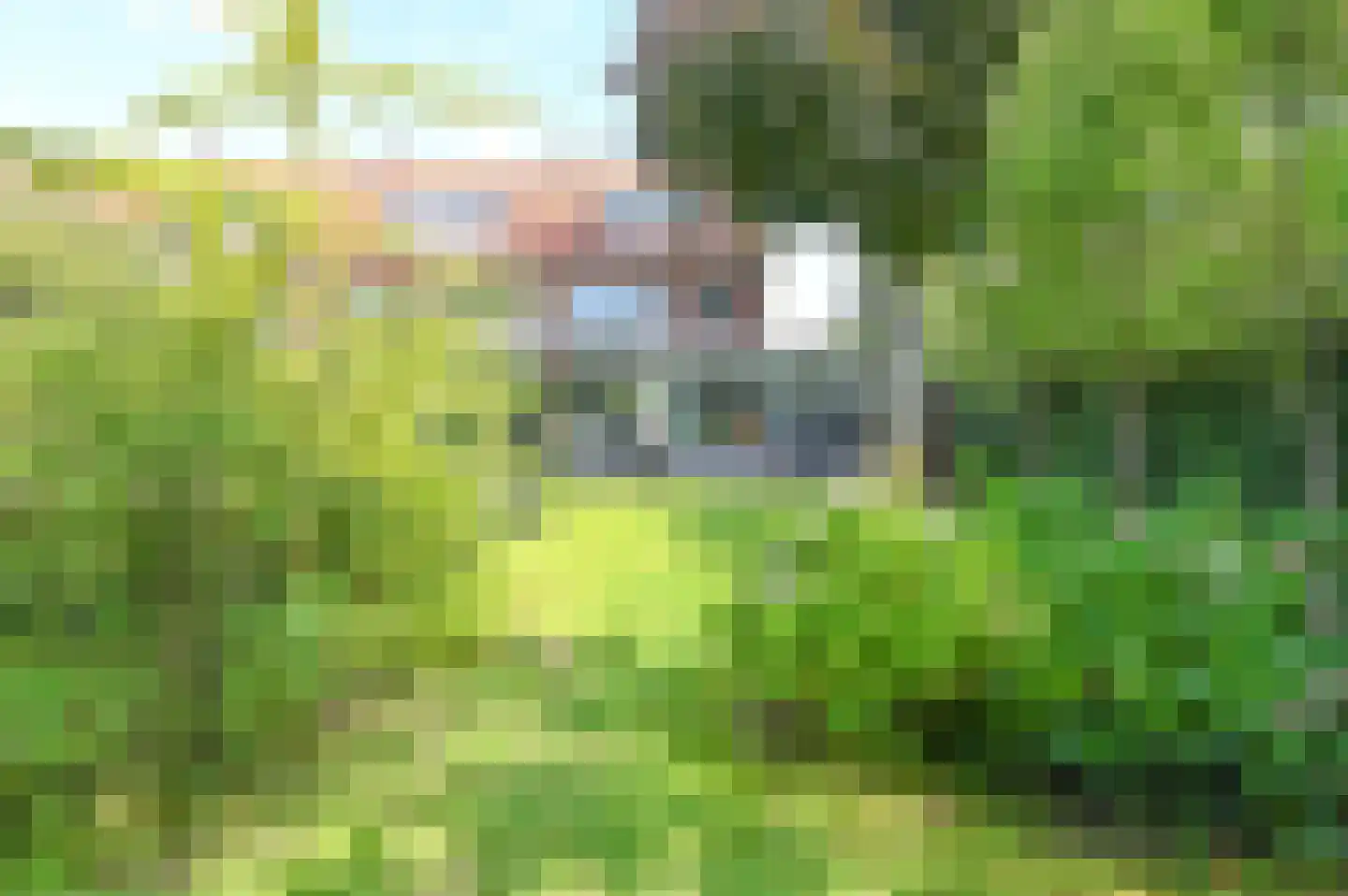 Johannes Vermeerstraat 25 Heemstede thumbnail 39