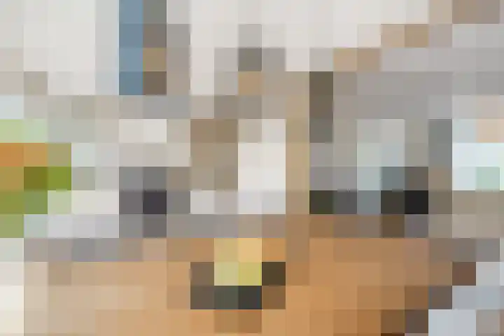 Johannes Vermeerstraat 25 Krimpen aan de Lek thumbnail 10