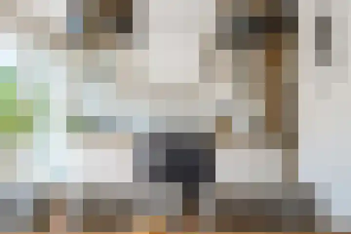 Johannes Vermeerstraat 25 Krimpen aan de Lek thumbnail 11