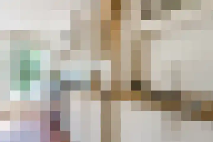 Johannes Vermeerstraat 25 Krimpen aan de Lek thumbnail 14
