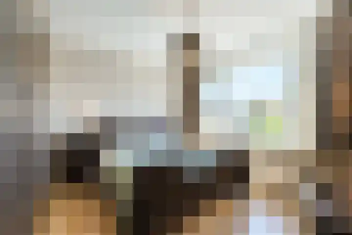 Johannes Vermeerstraat 25 Krimpen aan de Lek thumbnail 17