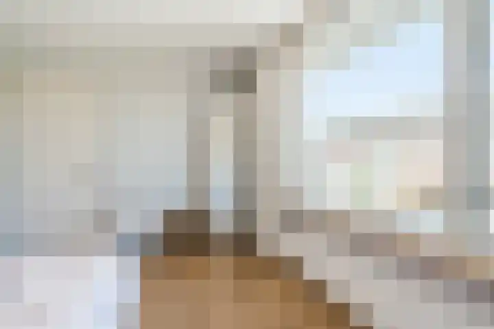 Johannes Vermeerstraat 25 Krimpen aan de Lek thumbnail 20
