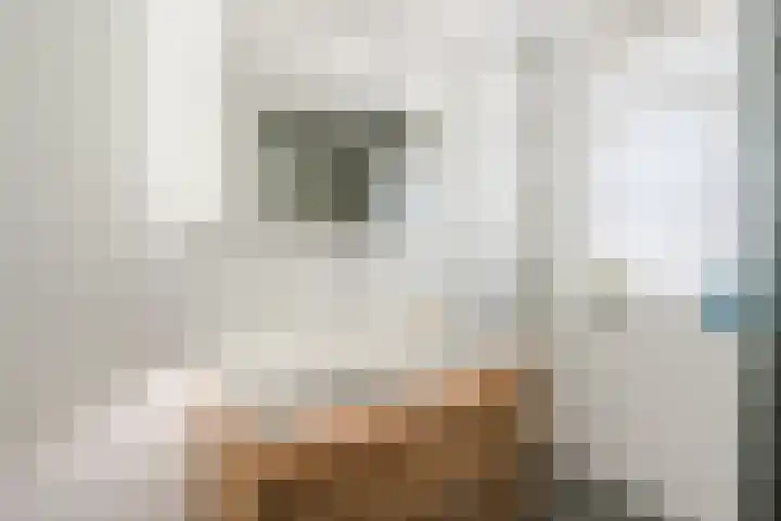Johannes Vermeerstraat 25 Krimpen aan de Lek thumbnail 23