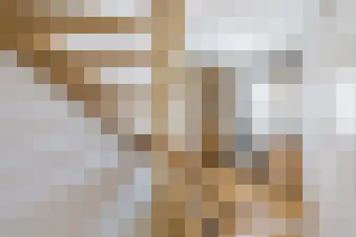 Johannes Vermeerstraat 25 Krimpen aan de Lek thumbnail 24