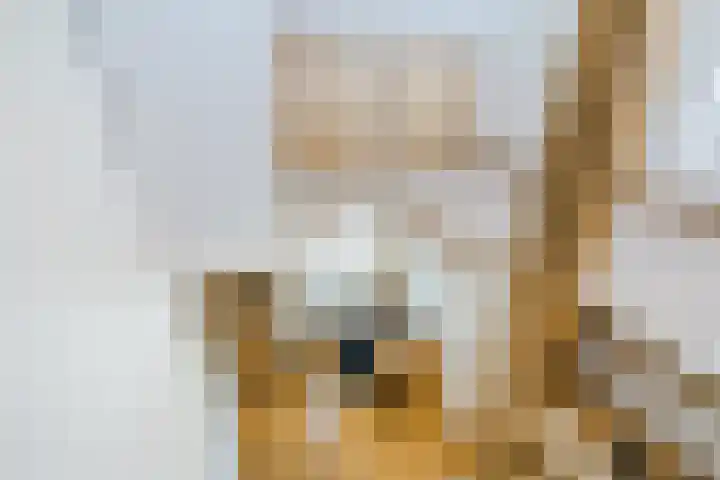 Johannes Vermeerstraat 25 Krimpen aan de Lek thumbnail 25