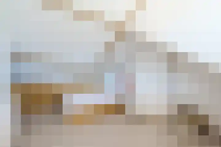 Johannes Vermeerstraat 25 Krimpen aan de Lek thumbnail 27