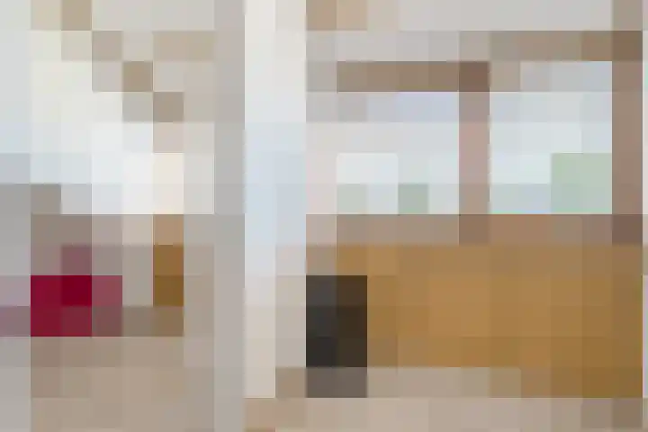 Johannes Vermeerstraat 25 Krimpen aan de Lek thumbnail 28