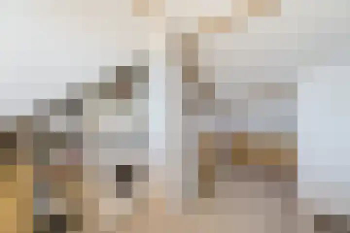 Johannes Vermeerstraat 25 Krimpen aan de Lek thumbnail 29
