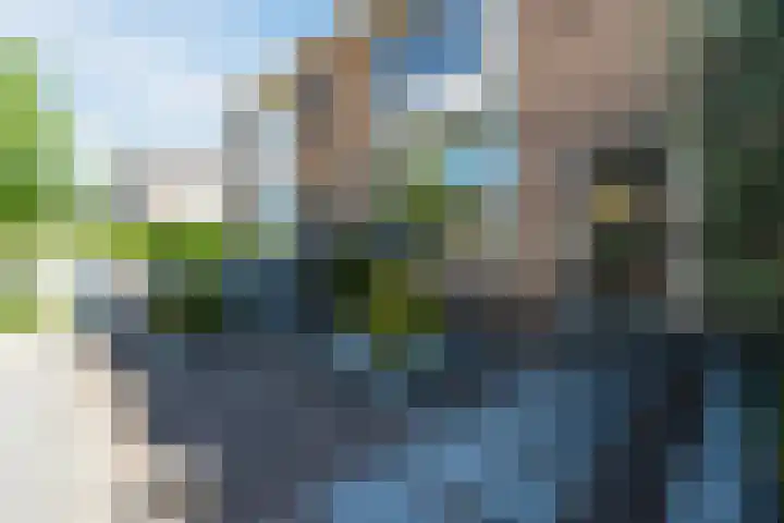 Johannes Vermeerstraat 25 Krimpen aan de Lek thumbnail 35