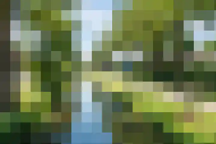 Johannes Vermeerstraat 25 Krimpen aan de Lek thumbnail 37