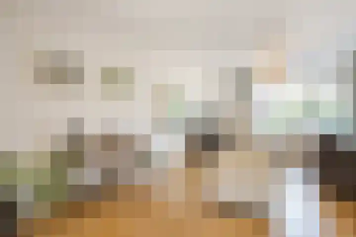 Johannes Vermeerstraat 25 Krimpen aan de Lek thumbnail 6