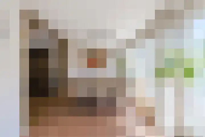 Johannes Vermeerstraat 25 Krimpen aan de Lek thumbnail 8