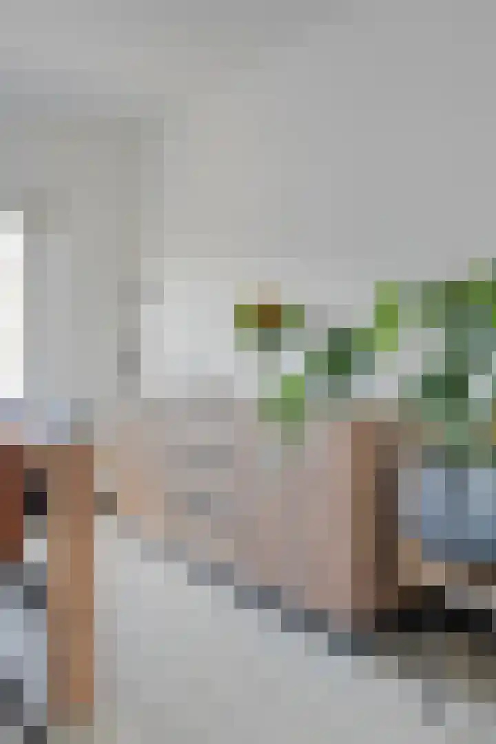 Johannes Vermeerstraat 27 Terneuzen thumbnail 10