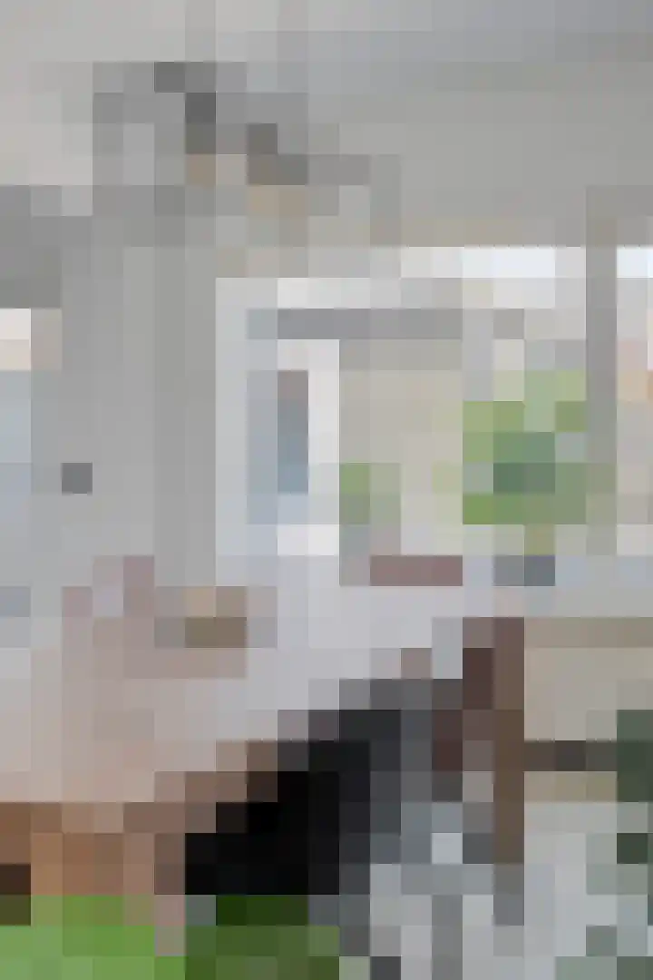 Johannes Vermeerstraat 27 Terneuzen thumbnail 11