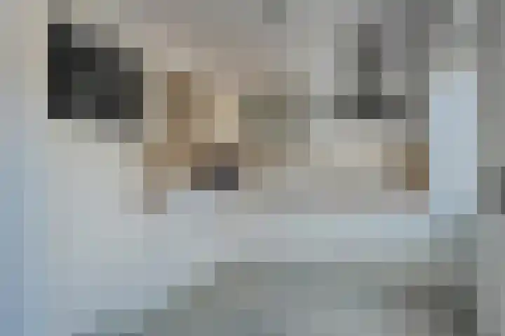 Johannes Vermeerstraat 27 Terneuzen thumbnail 13