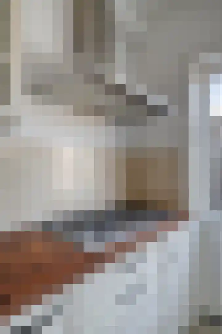 Johannes Vermeerstraat 27 Terneuzen thumbnail 15