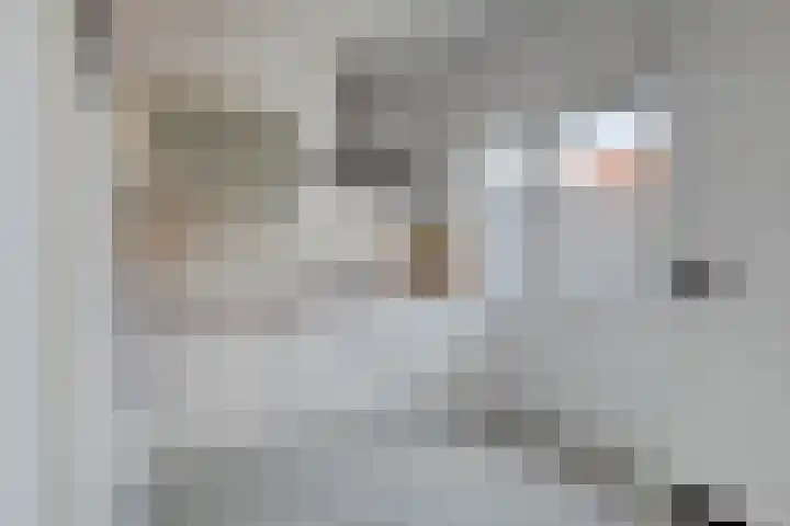 Johannes Vermeerstraat 27 Terneuzen thumbnail 16