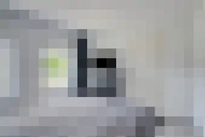 Johannes Vermeerstraat 27 Terneuzen thumbnail 21