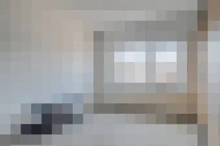 Johannes Vermeerstraat 27 Terneuzen thumbnail 23