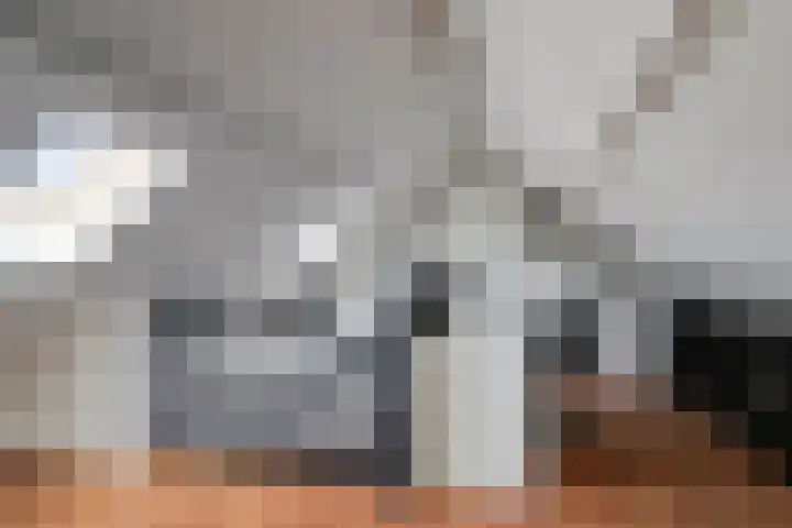 Johannes Vermeerstraat 27 Terneuzen thumbnail 28