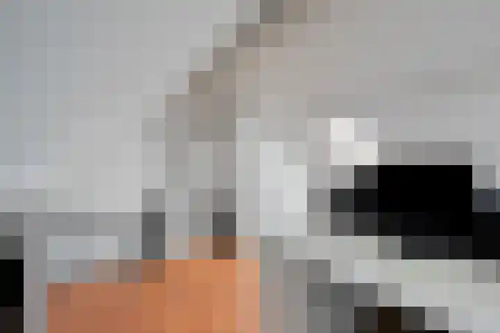 Johannes Vermeerstraat 27 Terneuzen thumbnail 29