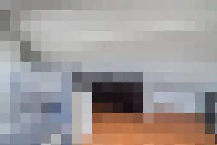 Johannes Vermeerstraat 27 Terneuzen thumbnail 30