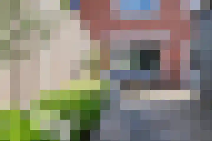 Johannes Vermeerstraat 27 Terneuzen thumbnail 38