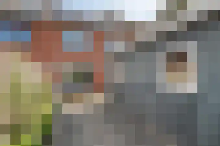 Johannes Vermeerstraat 27 Terneuzen thumbnail 39