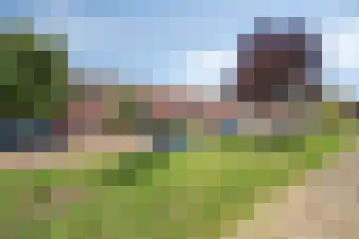Johannes Vermeerstraat 27 Terneuzen thumbnail 41