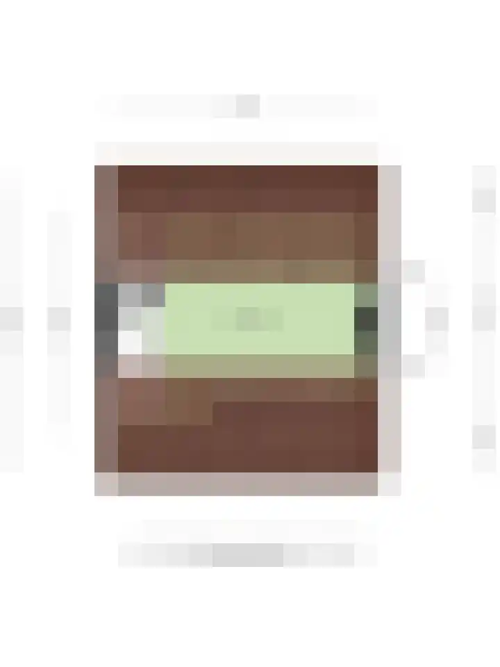 Johannes Vermeerstraat 27 Terneuzen thumbnail 44