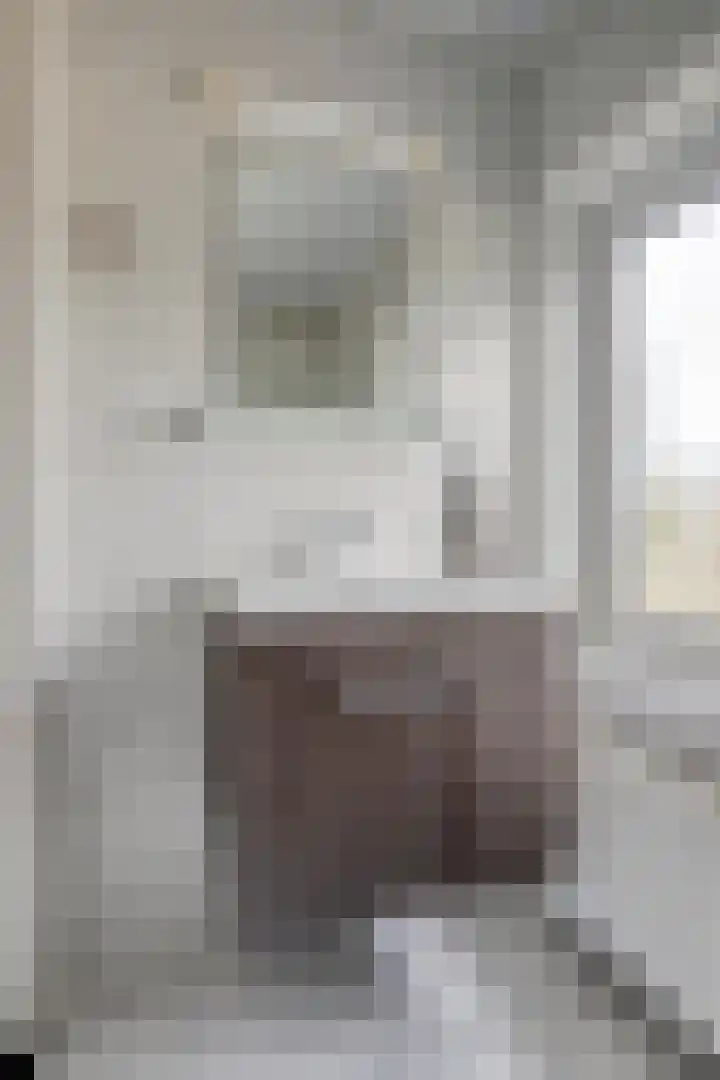 Johannes Vermeerstraat 27 Terneuzen thumbnail 5