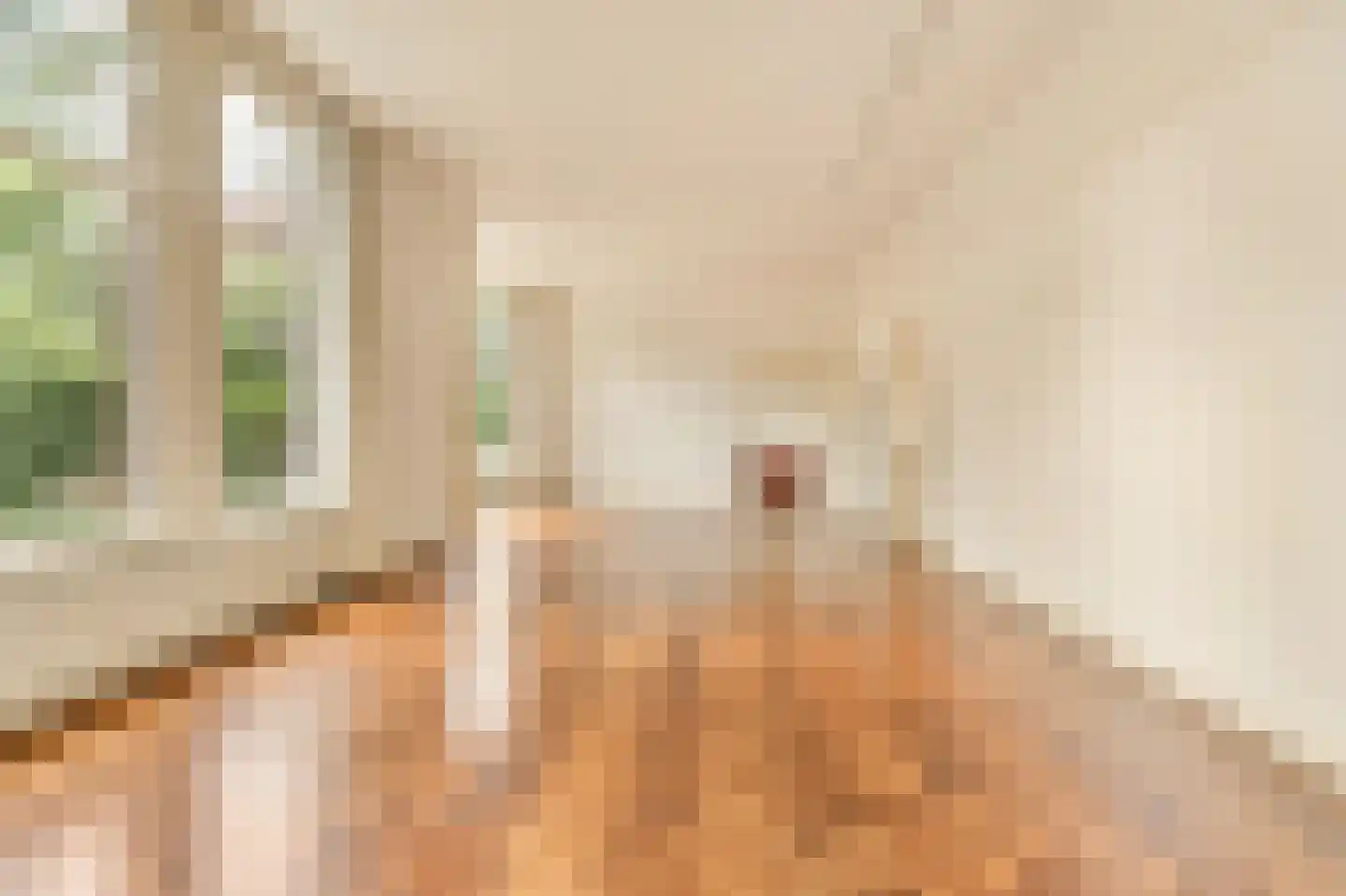 Johannes Vermeerstraat 28 Amsterdam thumbnail 11