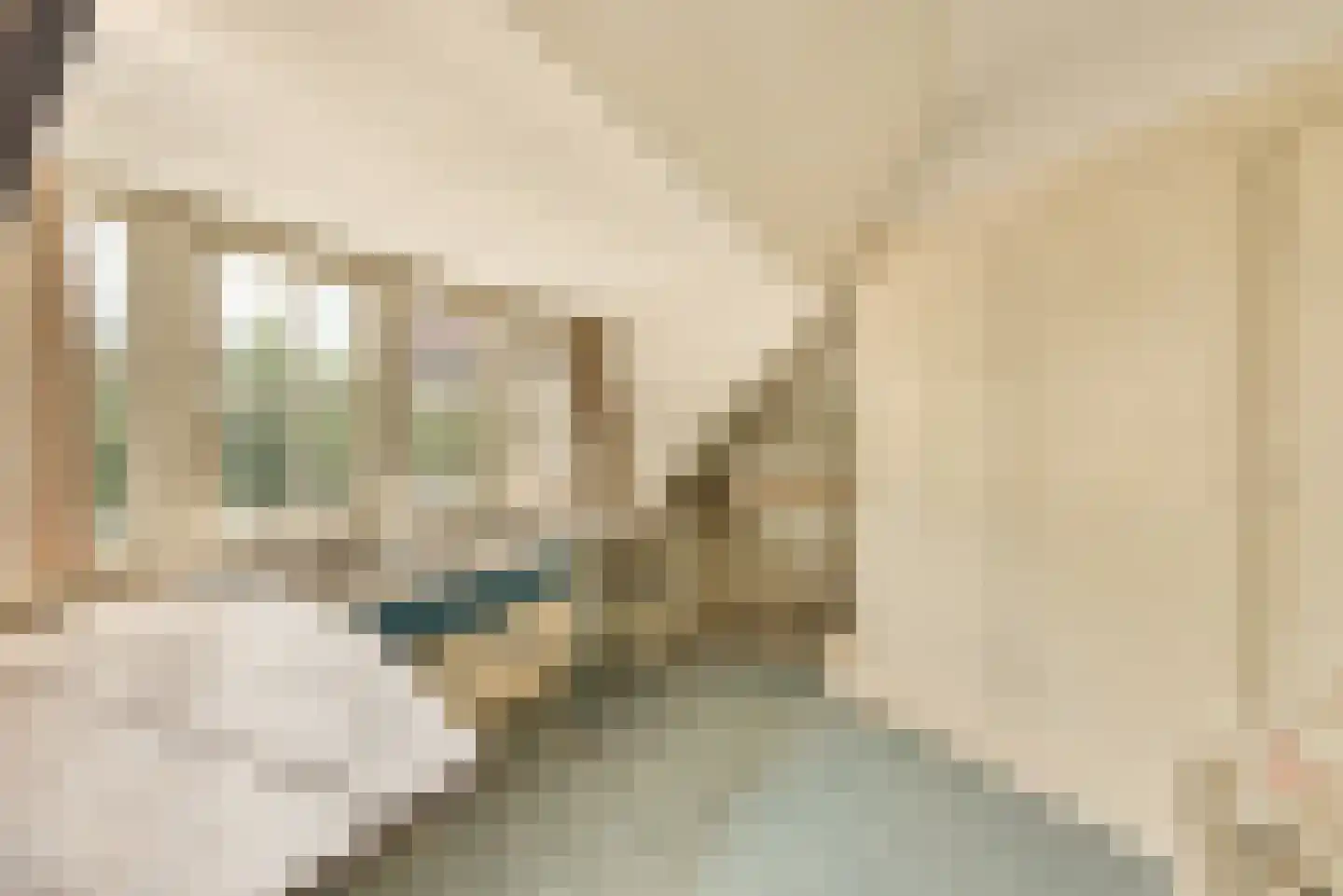 Johannes Vermeerstraat 28 Amsterdam thumbnail 50